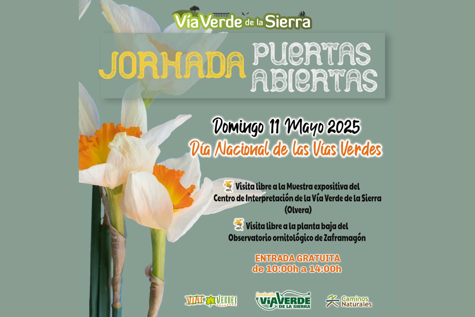Actualidad Vas Verdes